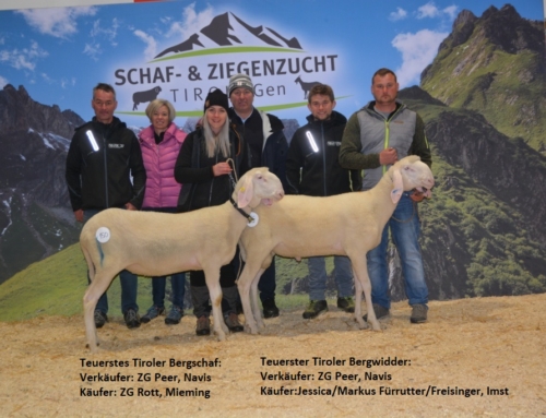 Ergebnis Schaf- und Ziegenversteigerung in Rotholz am 2.4.2022